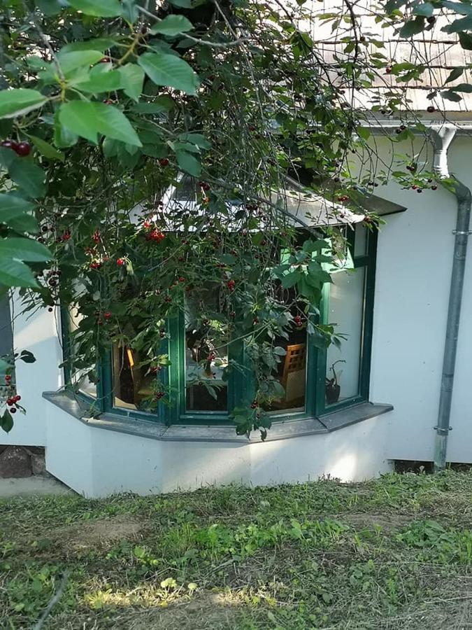 Nyugalomsziget Villa Kotcse Exterior photo